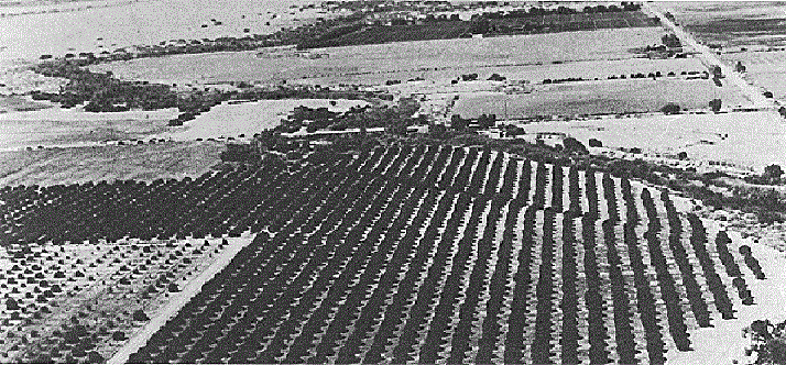 imperial-valley-earthquake-california-may-19-1940