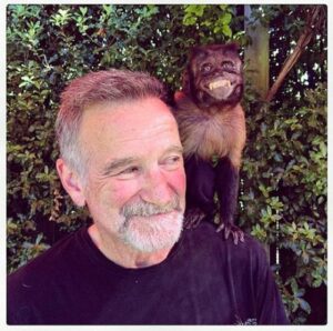 6 Celebrities’ Last Photos Before Death – Page 4 – Devastating Disasters