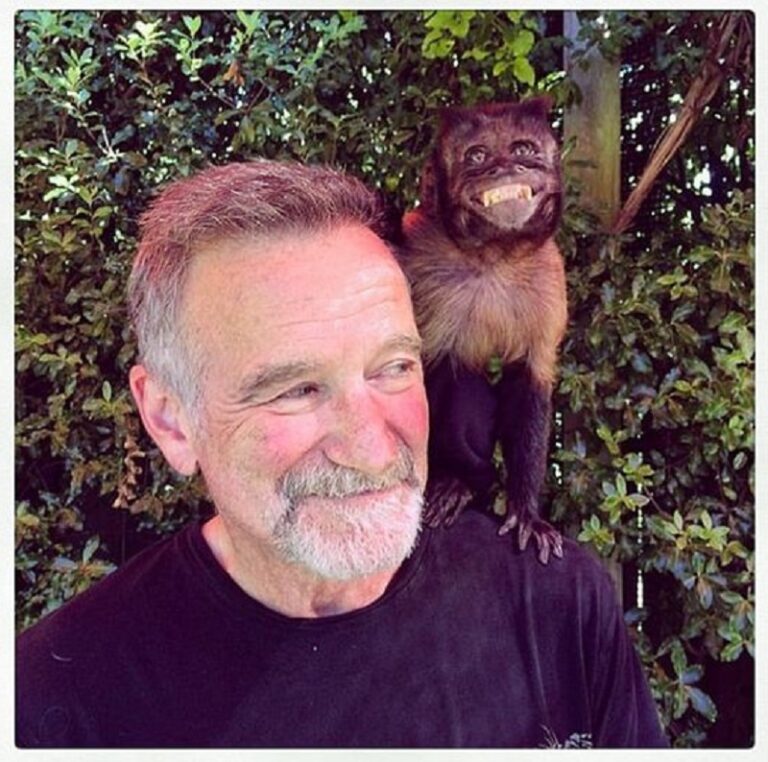 6 Celebrities’ Last Photos Before Death – Page 4 – Devastating Disasters